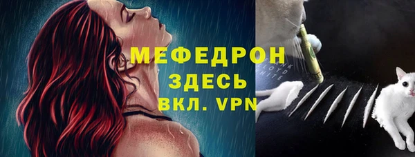 крисы Инта