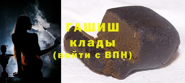 крисы Инта