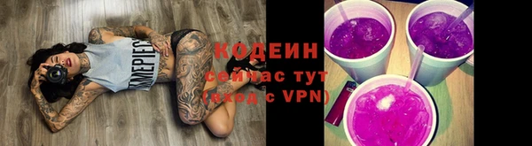 крисы Инта