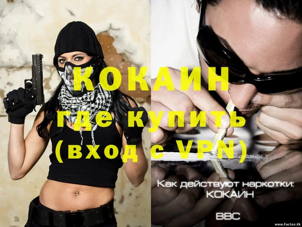 крисы Инта