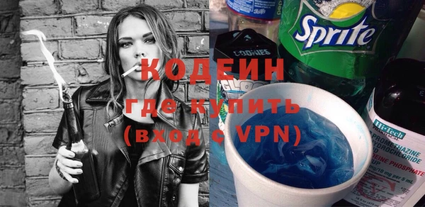 крисы Инта