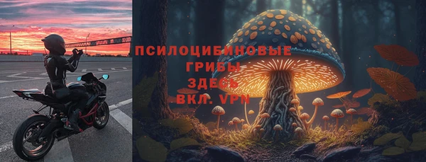 крисы Инта