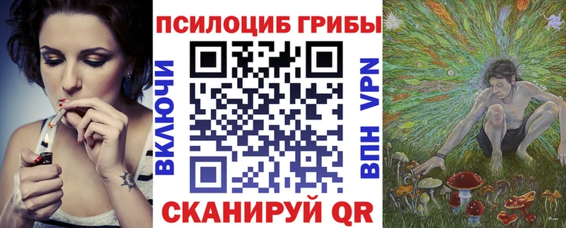 купить наркоту  Сызрань  kraken ССЫЛКА  Псилоцибиновые грибы Cubensis 
