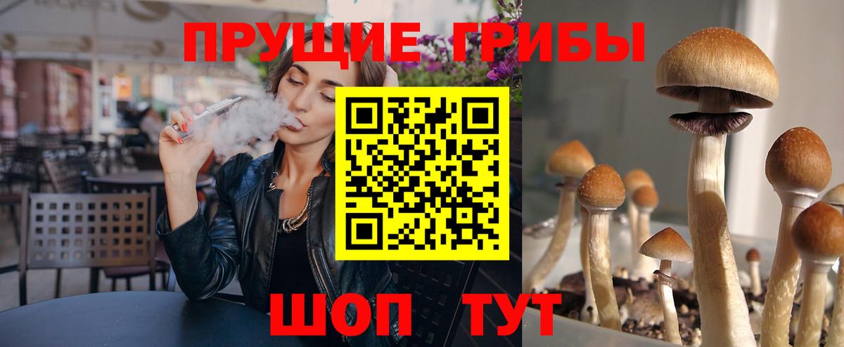 Псилоцибиновые грибы мицелий Сызрань